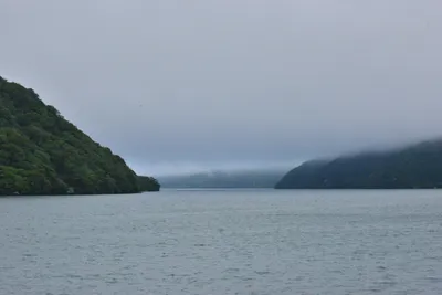 DSC_3719 (Large).JPG